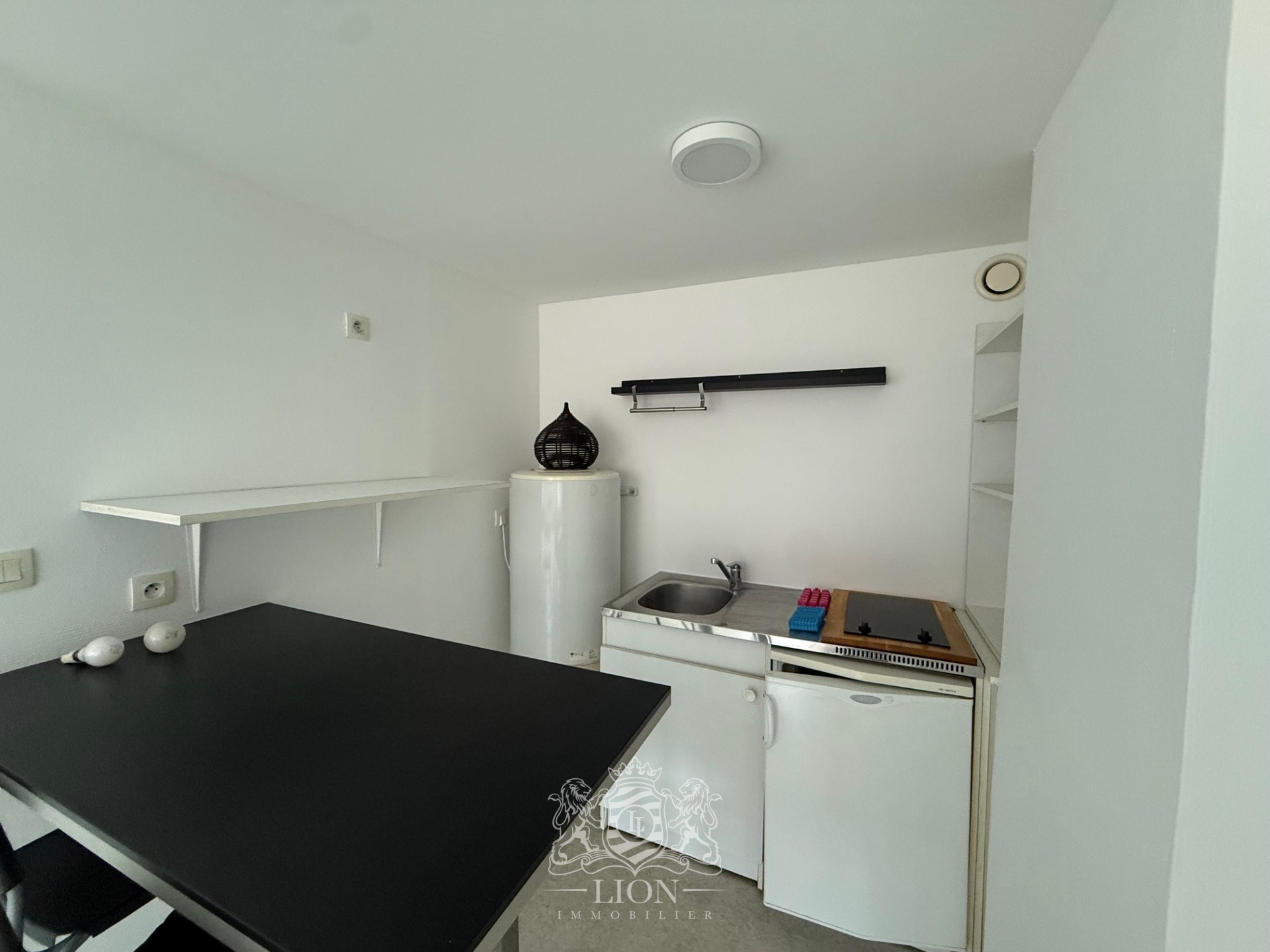 Ogc vieux lille studio non meuble Photo 3 - Le Lion Immobilier