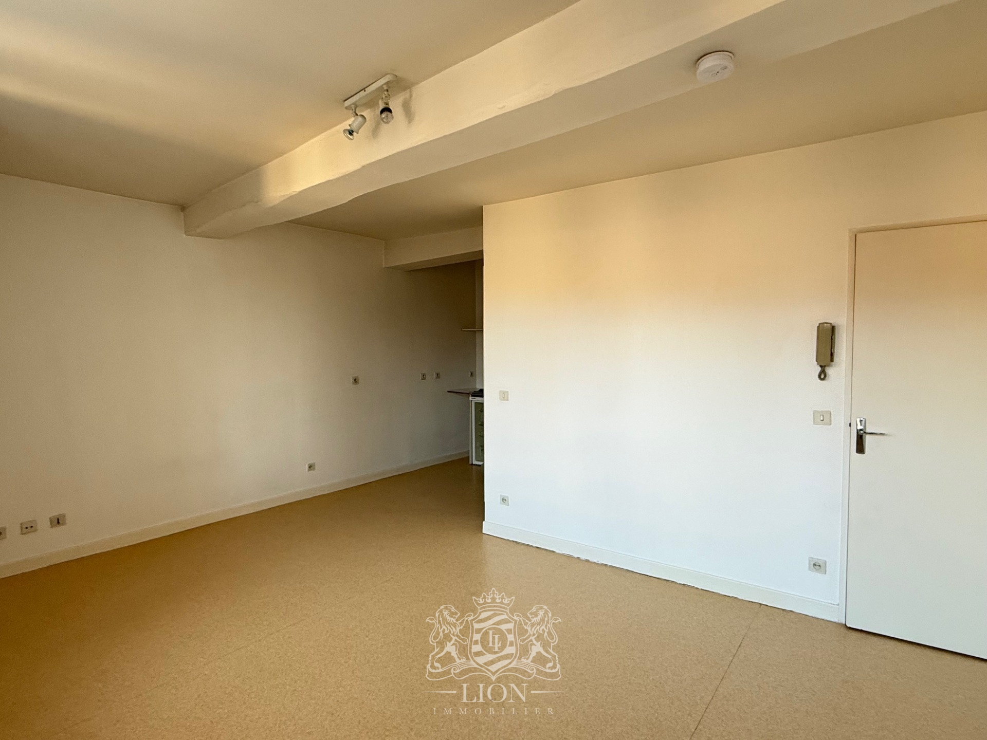 Oka vieux lille studio non meuble Photo 6 - Le Lion Immobilier Oka vieux lille studio non meuble Photo 6 - Le Lion Immobilier