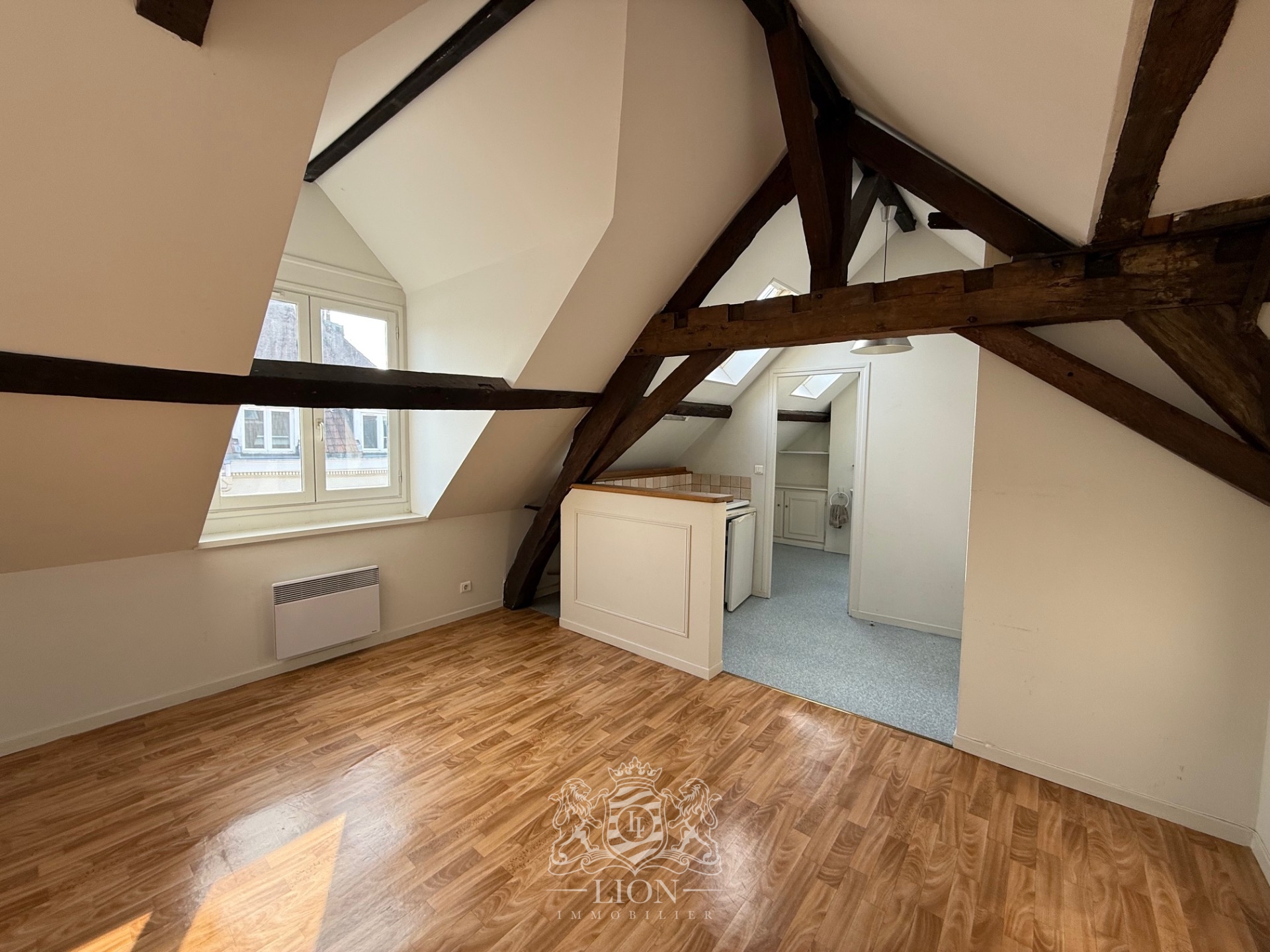 Okj vieux lille t2 non meuble Photo 1 - Le Lion Immobilier