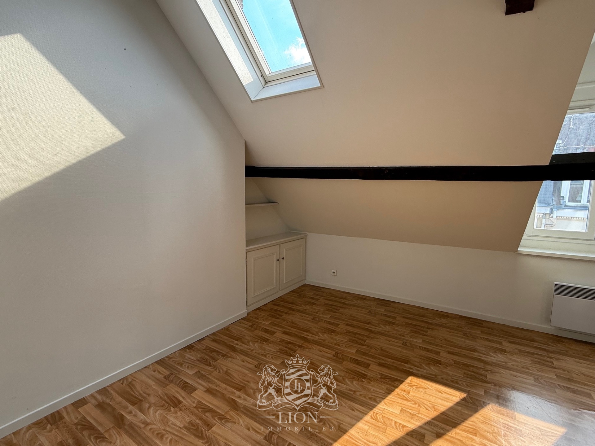 Okj vieux lille t2 non meuble Photo 4 - Le Lion Immobilier