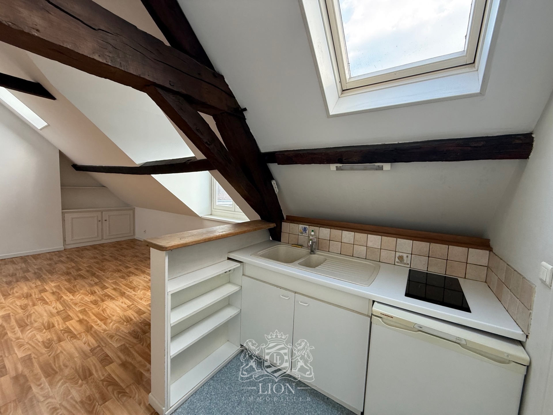 Okj vieux lille t2 non meuble Photo 5 - Le Lion Immobilier