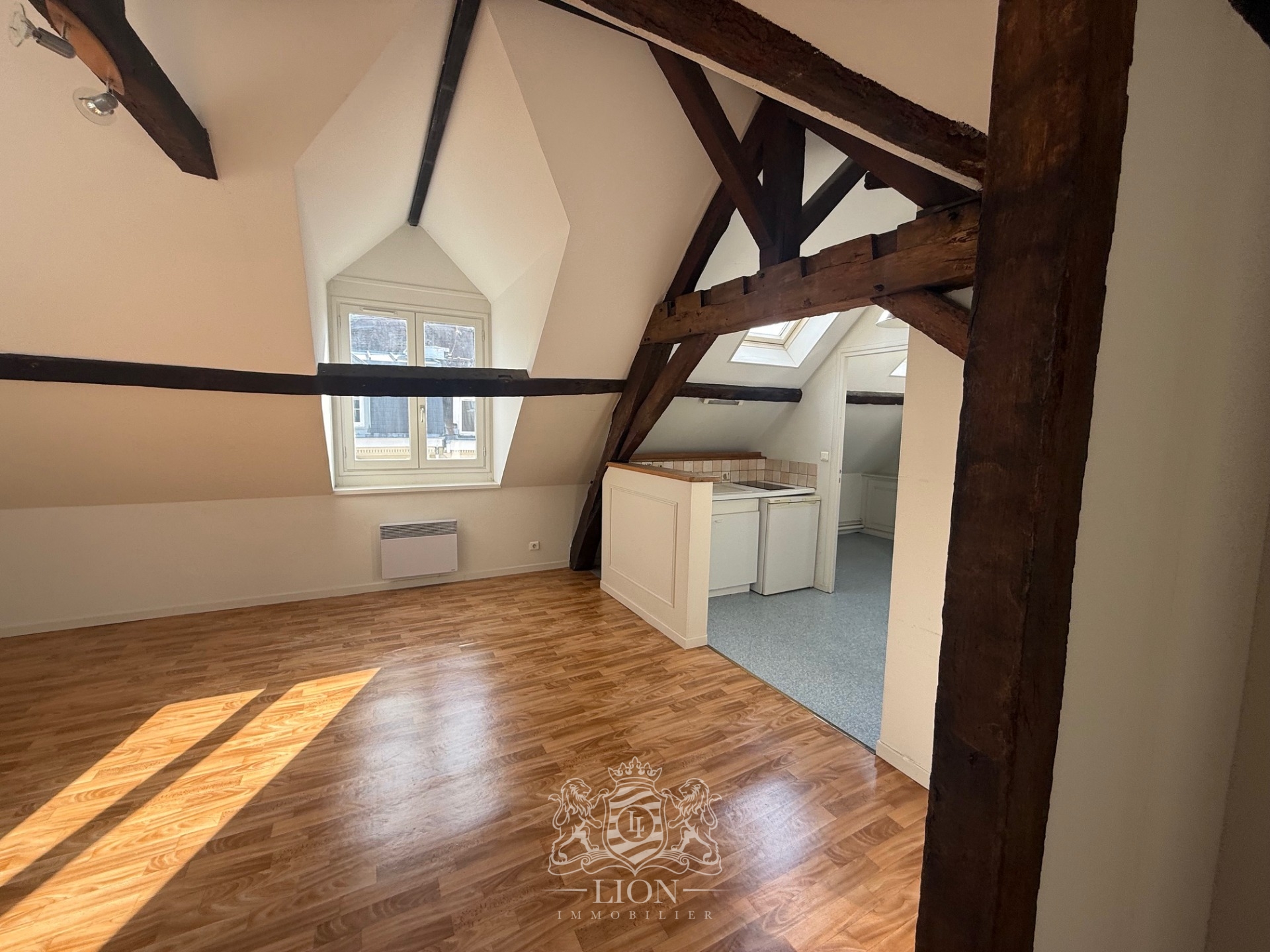 Okj vieux lille t2 non meuble Photo 9 - Le Lion Immobilier