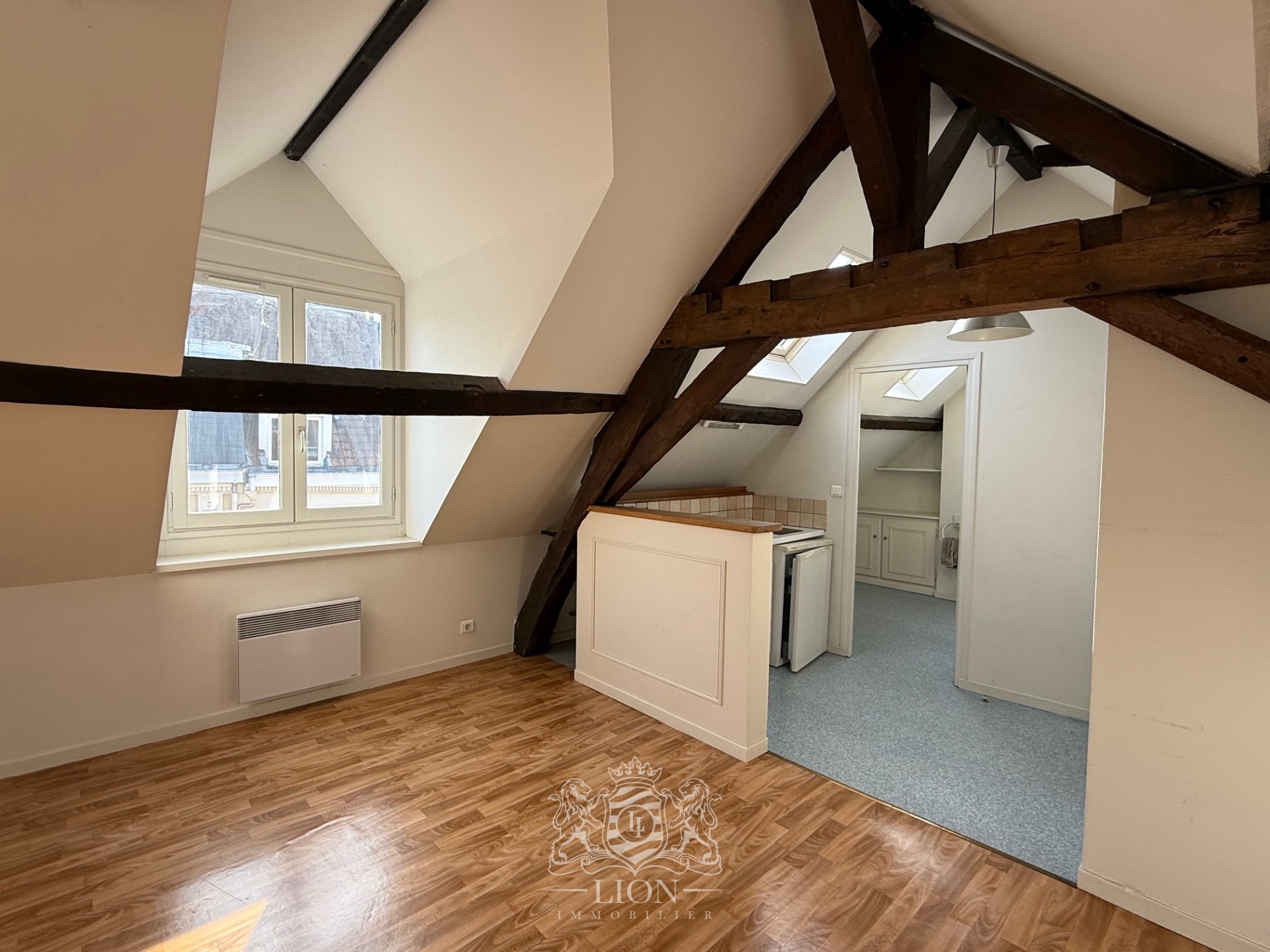 Okj vieux lille t2 non meuble Photo 10 - Le Lion Immobilier