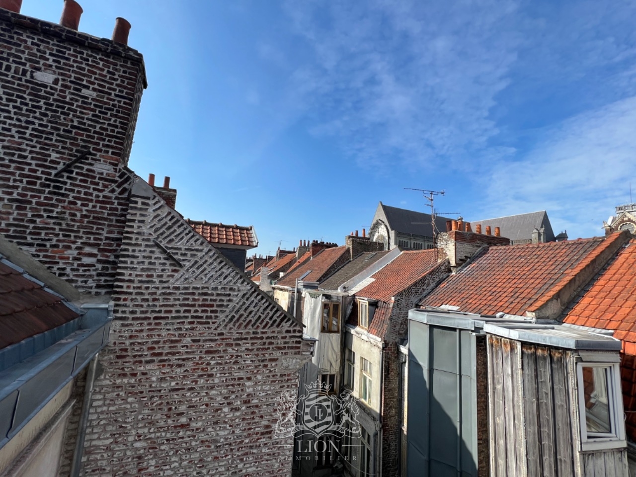 Okj vieux lille t2 non meuble Photo 13 - Le Lion Immobilier