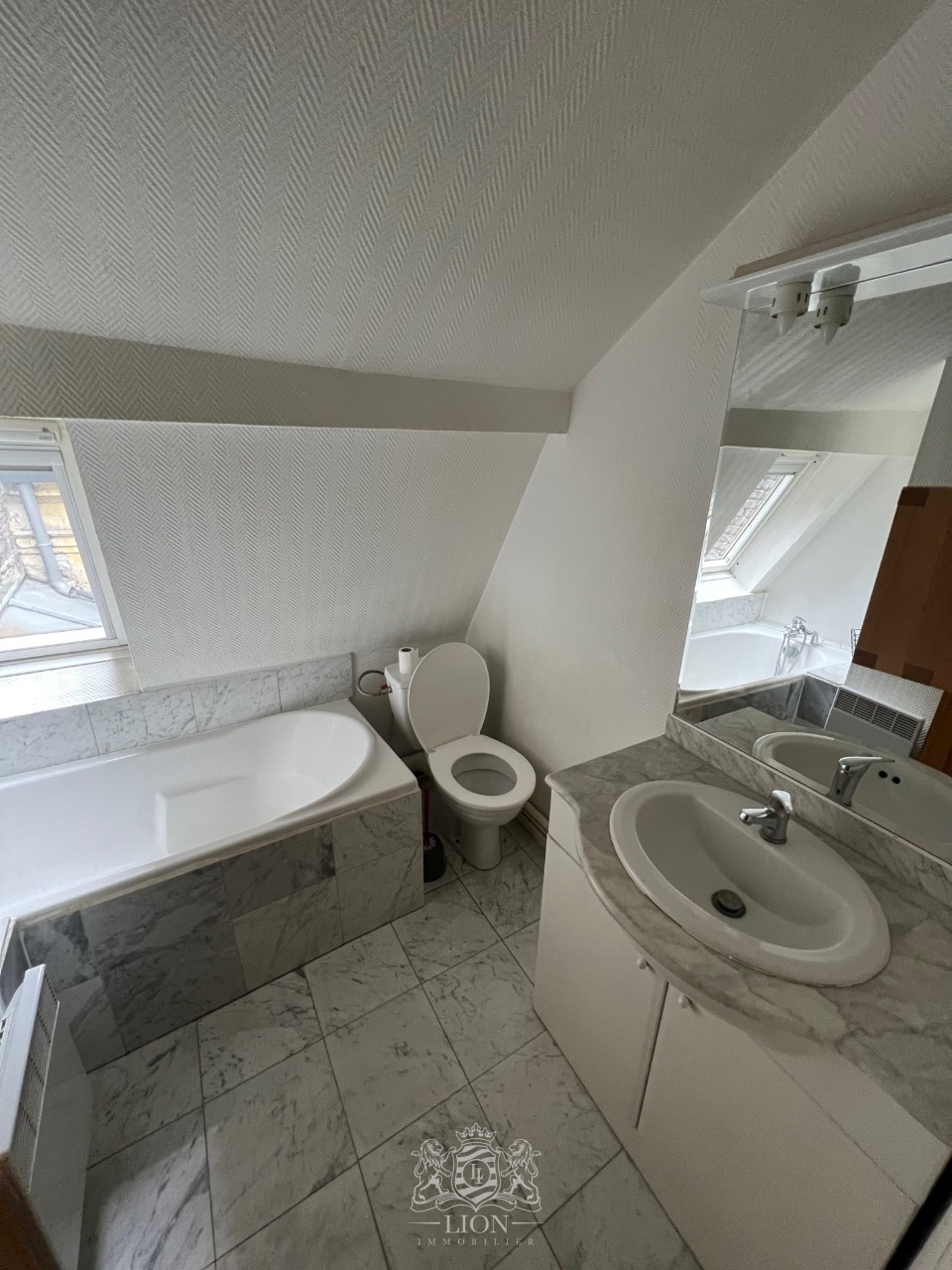 Ook vieux lille t1 bis meuble de 20 m Photo 5 - Le Lion Immobilier