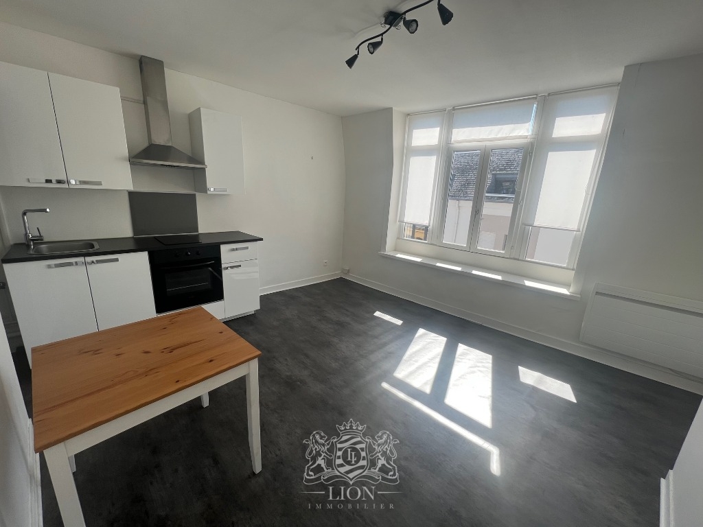 Orh vieux lille t3 non meuble Photo 3 - Le Lion Immobilier