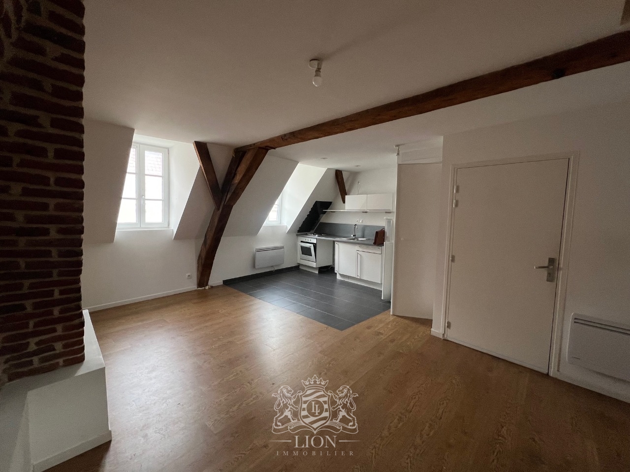 Ote vieux lille t3 non meuble Photo 3 - Le Lion Immobilier