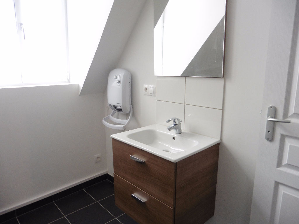 Ote vieux lille t3 non meuble Photo 6 - Le Lion Immobilier