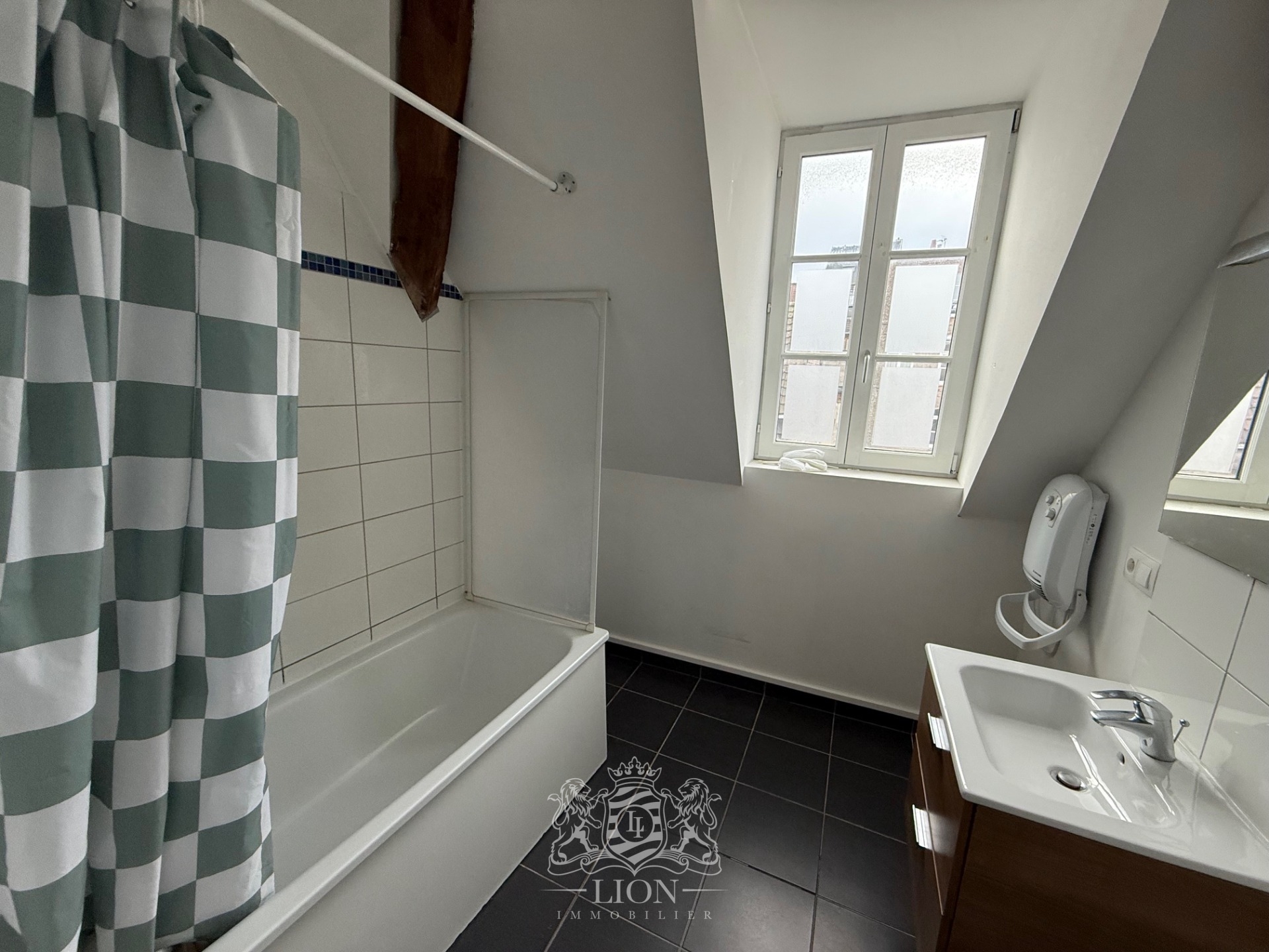 Ote vieux lille t3 non meuble Photo 9 - Le Lion Immobilier