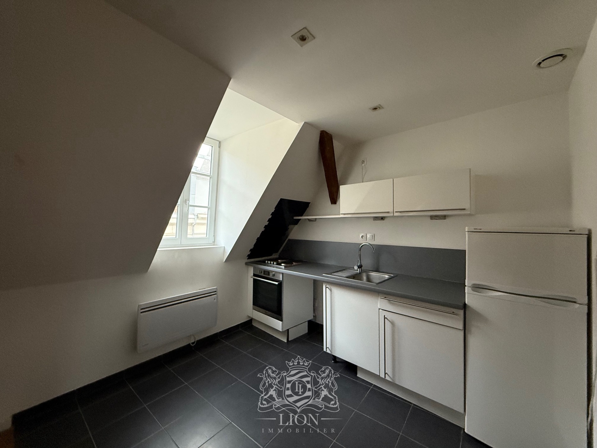 Ote vieux lille t3 non meuble Photo 11 - Le Lion Immobilier