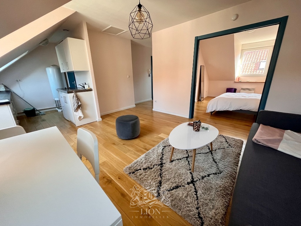 Oui vieux lille type 2 non meuble Photo 2 - Le Lion Immobilier Oui vieux lille type 2 non meuble Photo 2 - Le Lion Immobilier