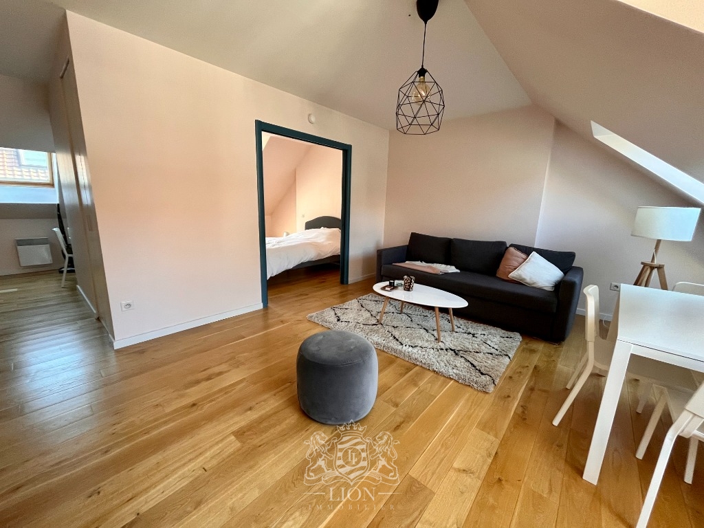 Oui vieux lille type 2 non meuble Photo 3 - Le Lion Immobilier Oui vieux lille type 2 non meuble Photo 3 - Le Lion Immobilier