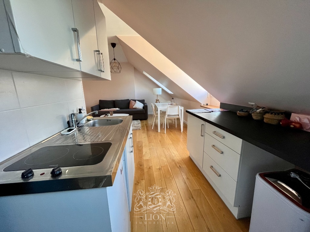 Oui vieux lille type 2 non meuble Photo 4 - Le Lion Immobilier Oui vieux lille type 2 non meuble Photo 4 - Le Lion Immobilier