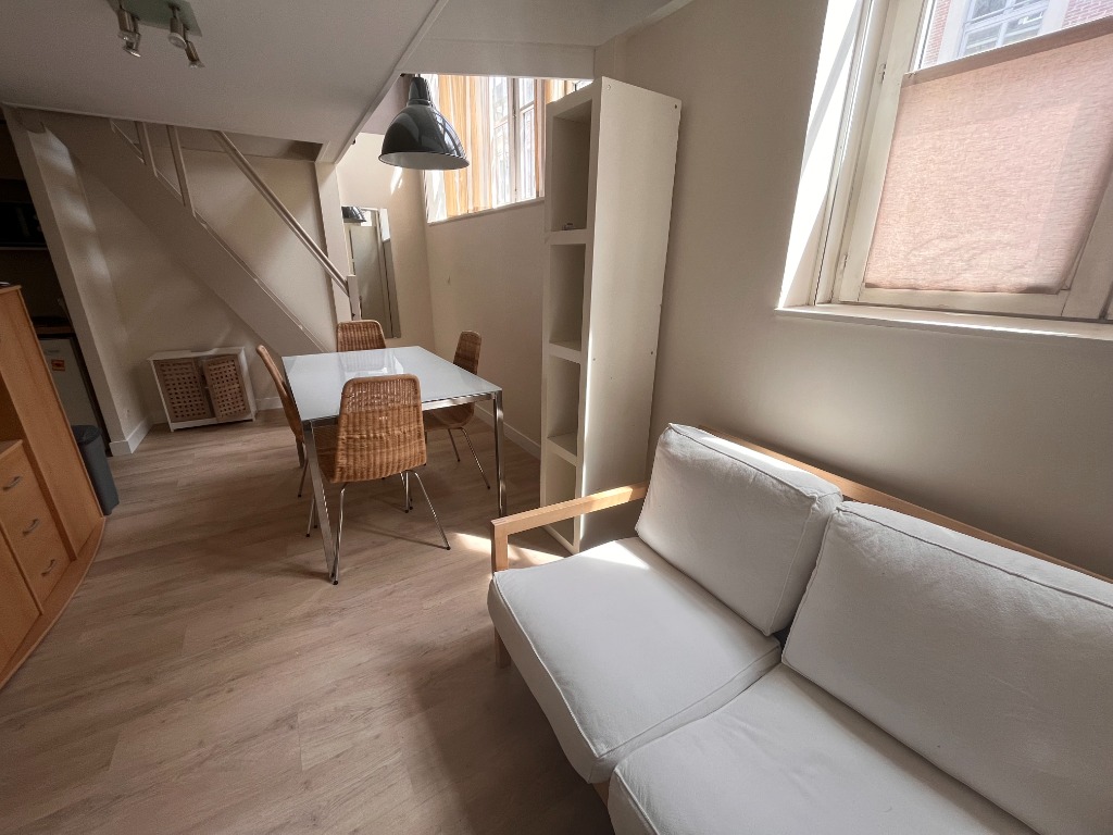 Location Appartement, Vieux Lille T2 meublé Le Lion Immobilier