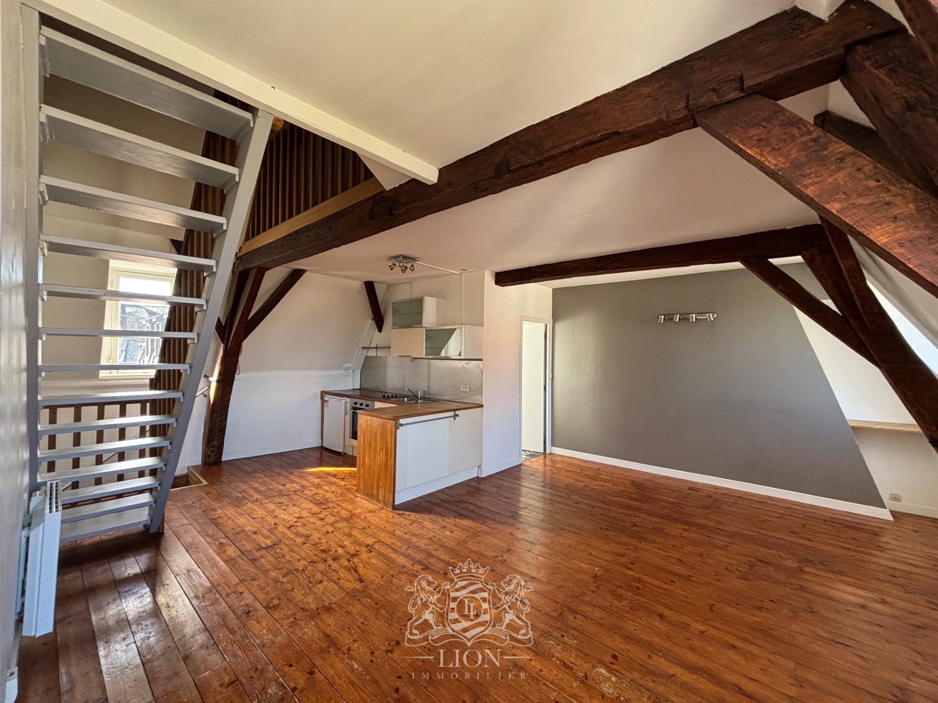 Ovb vieux lille type 2 non meuble Photo 1 - Le Lion Immobilier Ovb vieux lille type 2 non meuble Photo 1 - Le Lion Immobilier