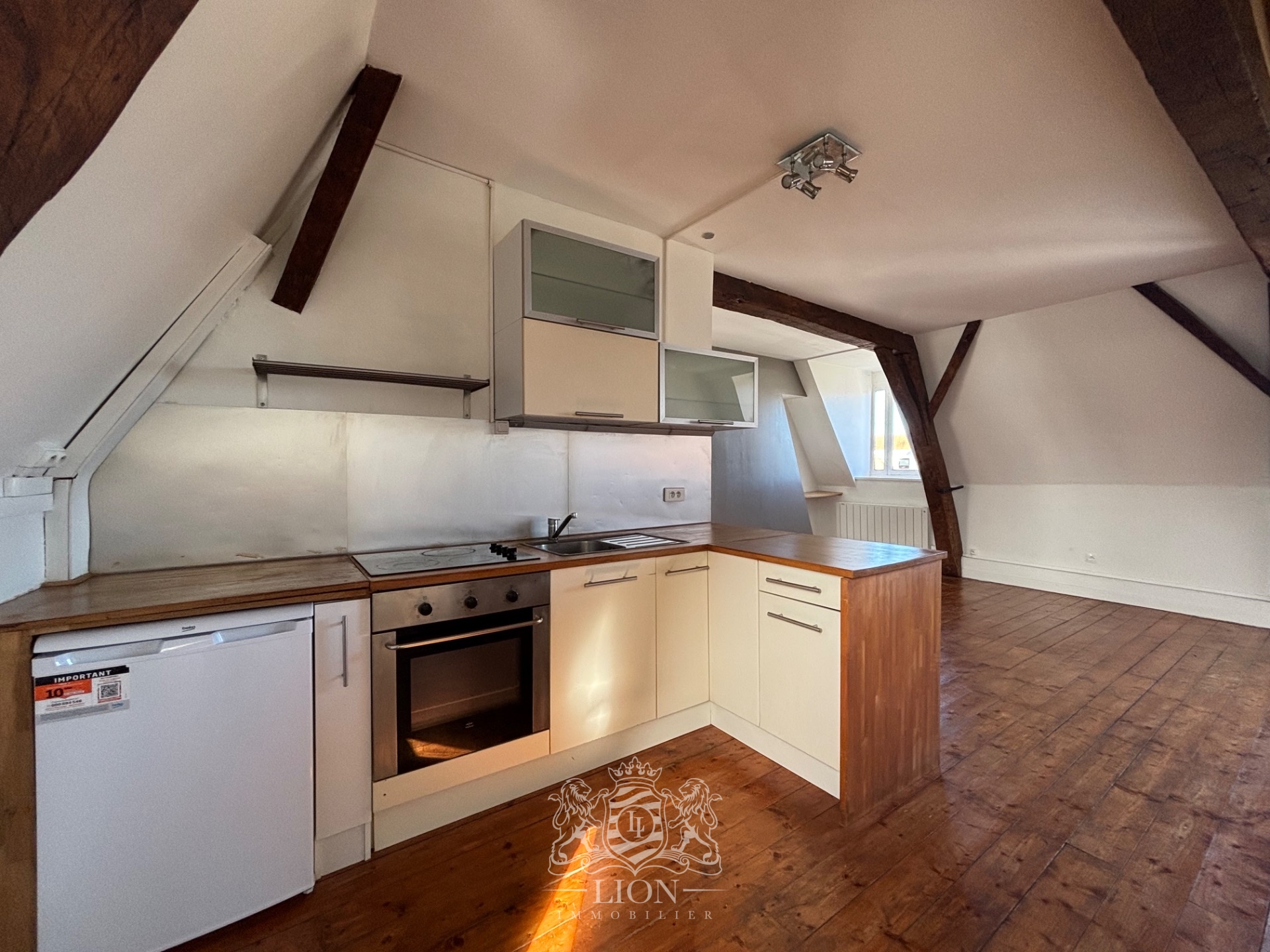 Ovb vieux lille type 2 non meuble Photo 3 - Le Lion Immobilier Ovb vieux lille type 2 non meuble Photo 3 - Le Lion Immobilier