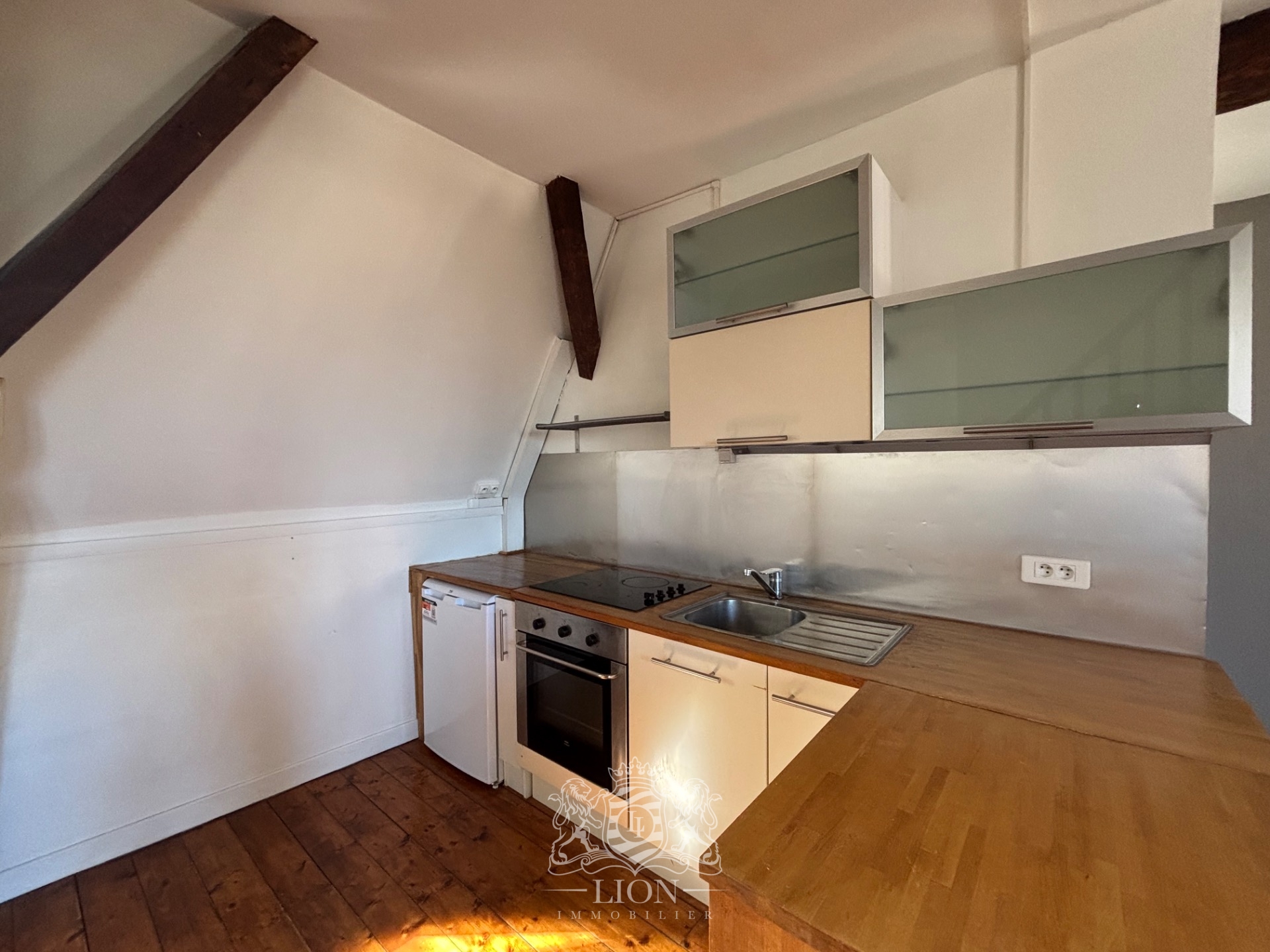 Ovb vieux lille type 2 non meuble Photo 6 - Le Lion Immobilier Ovb vieux lille type 2 non meuble Photo 6 - Le Lion Immobilier