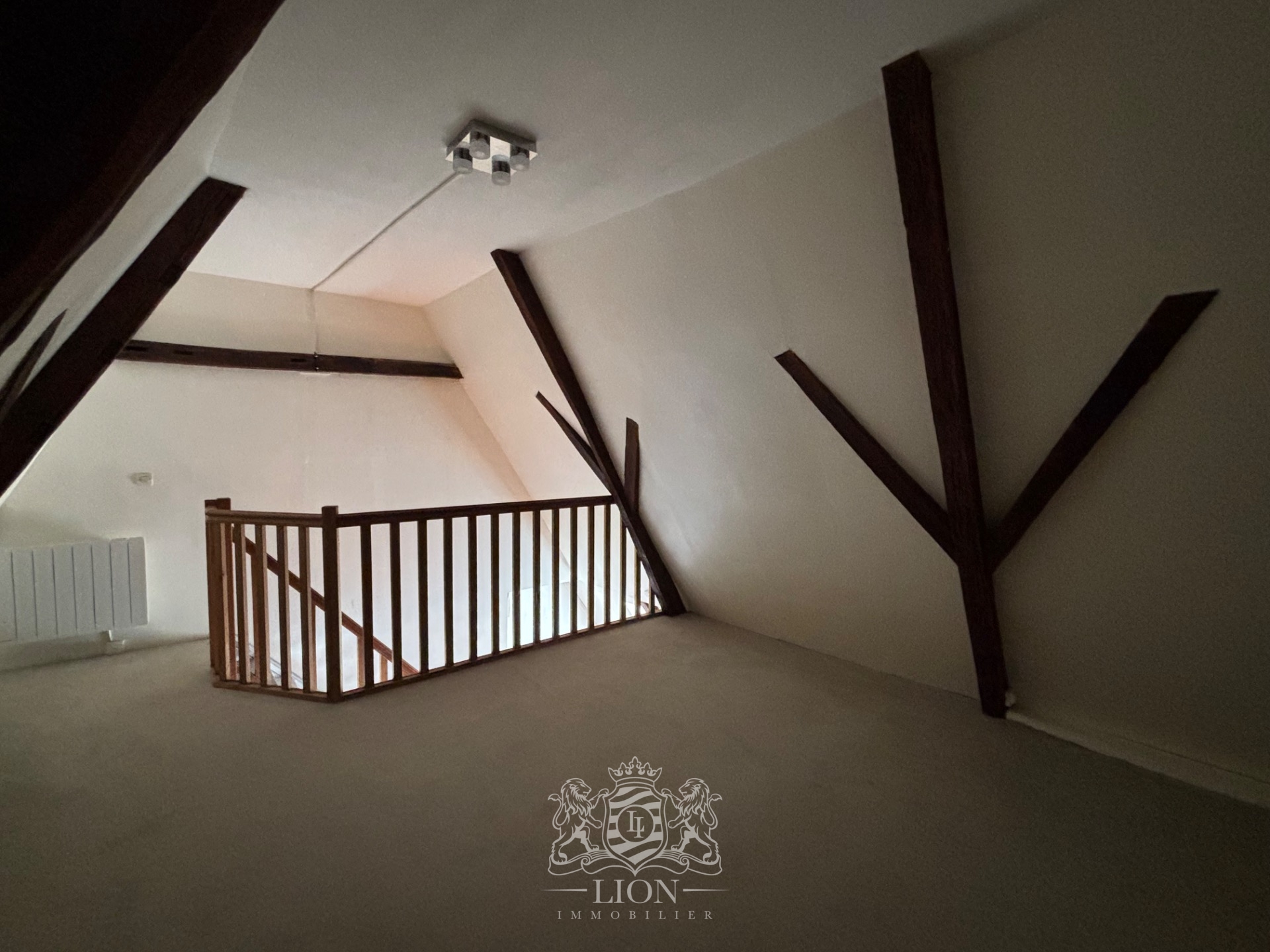 Ovb vieux lille type 2 non meuble Photo 8 - Le Lion Immobilier Ovb vieux lille type 2 non meuble Photo 8 - Le Lion Immobilier
