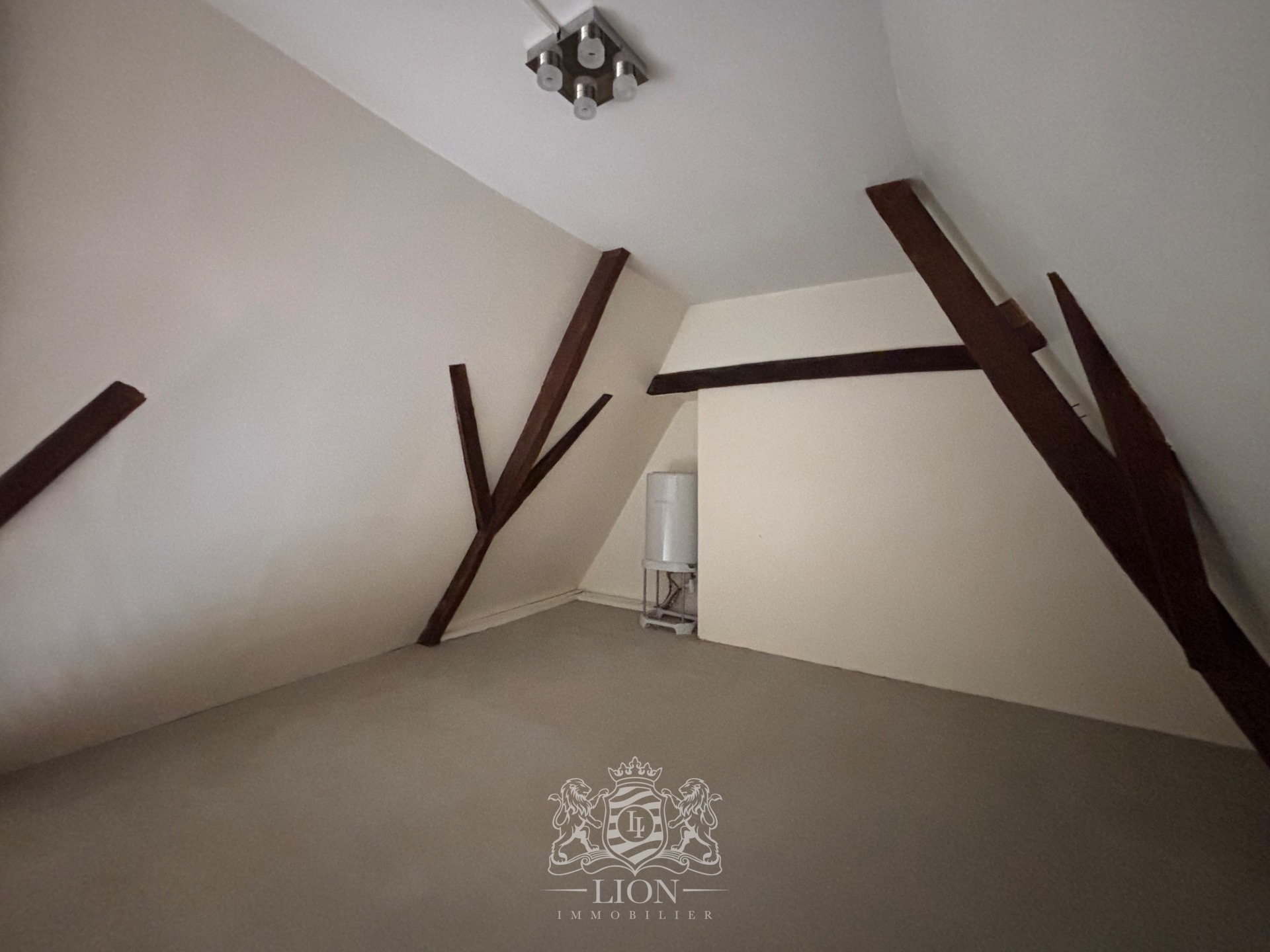 Ovb vieux lille type 2 non meuble Photo 9 - Le Lion Immobilier Ovb vieux lille type 2 non meuble Photo 9 - Le Lion Immobilier