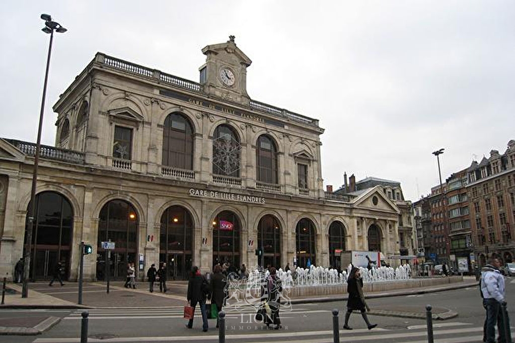 Hypercentre ensemble immobilier de 1328 m - Le Lion Immobilier