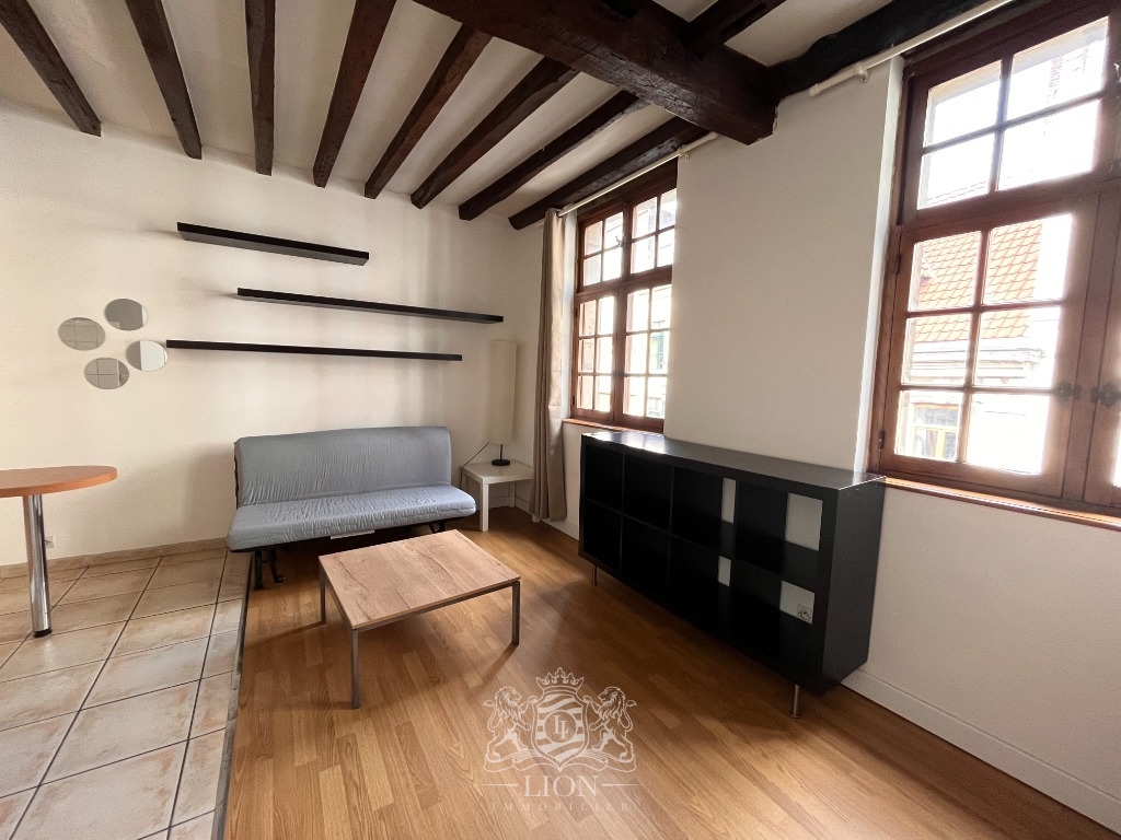 Ozq vieux lille studio meuble de 18 m Photo 1 - Le Lion Immobilier