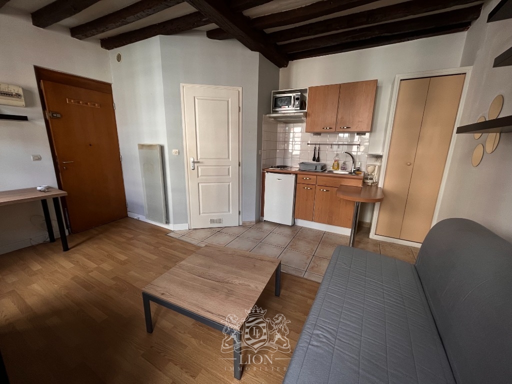 Ozq vieux lille studio meuble de 18 m Photo 2 - Le Lion Immobilier