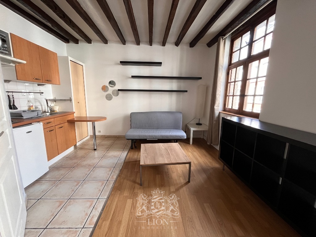 Ozq vieux lille studio meuble de 18 m Photo 3 - Le Lion Immobilier
