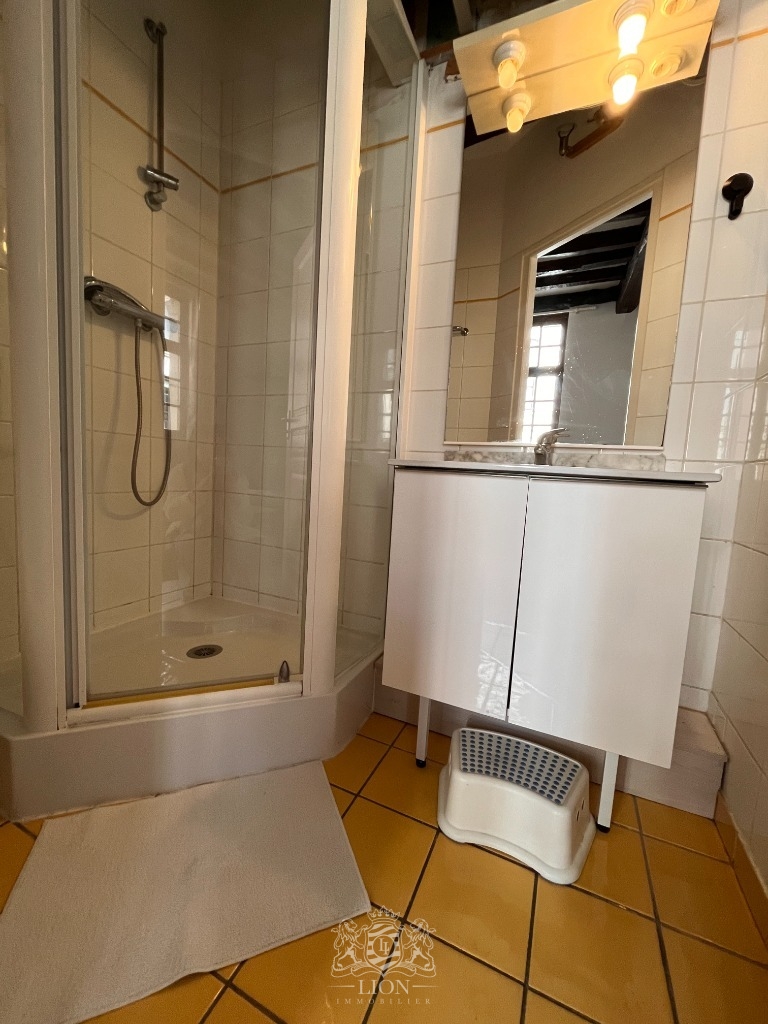 Ozq vieux lille studio meuble de 18 m Photo 4 - Le Lion Immobilier