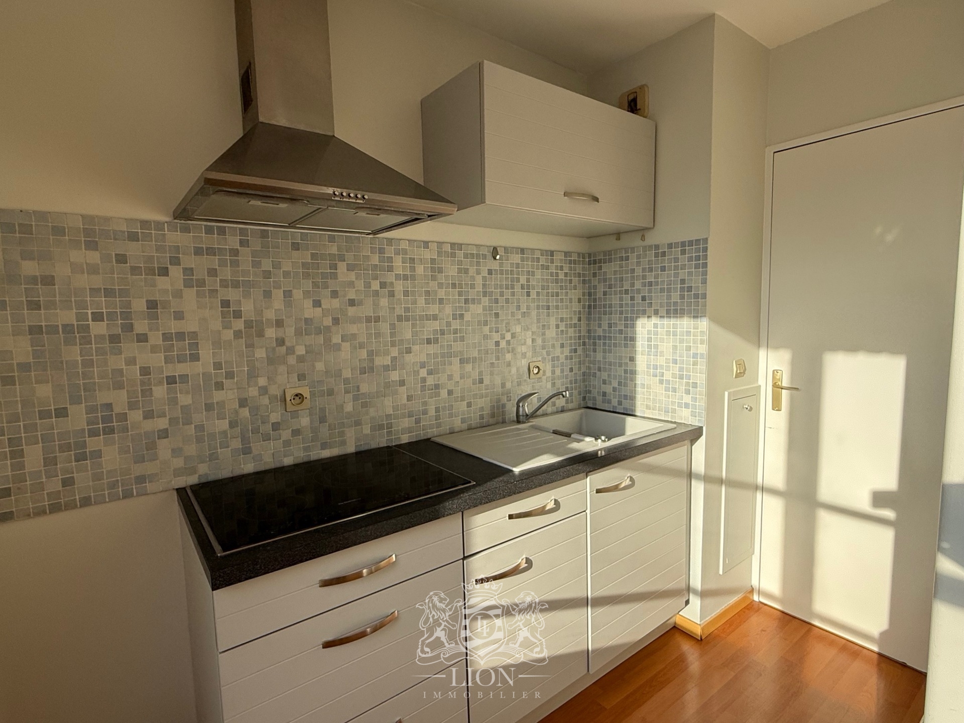 Vieux lille t2 non meuble avec parking Photo 6 - Le Lion Immobilier