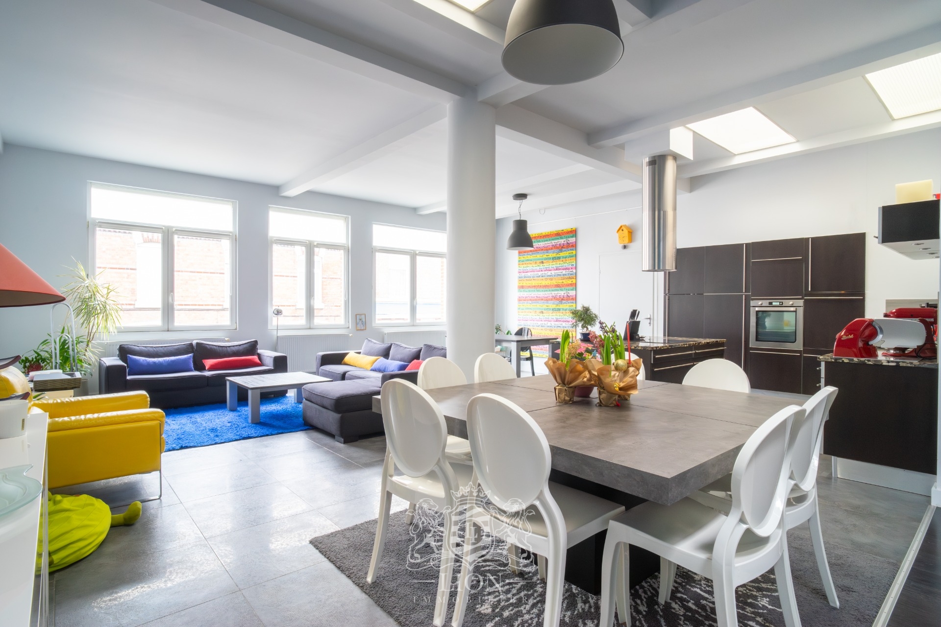 Tres beau loft de plus 200m  avec exterieur et garage Photo 1 - Le Lion Immobilier