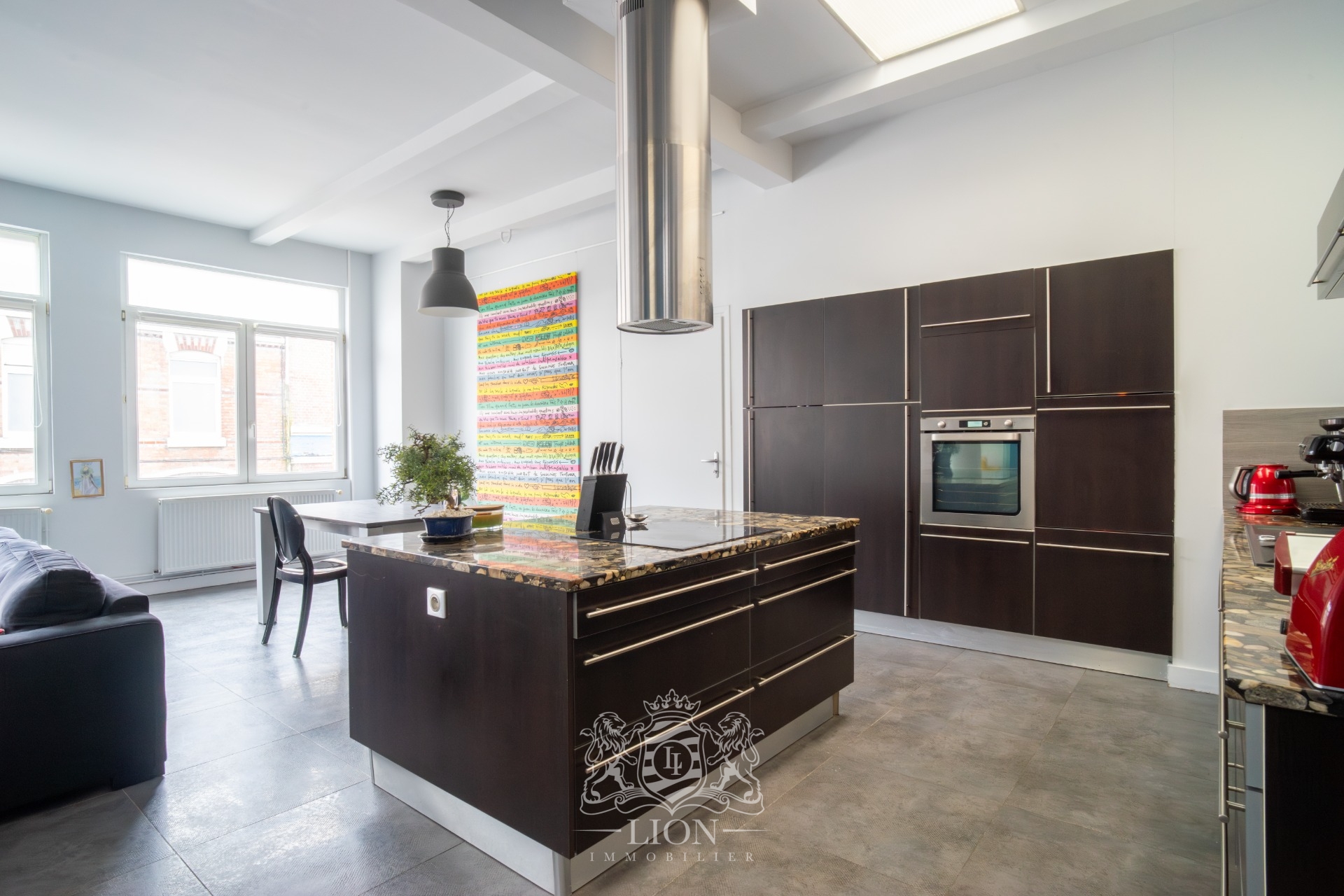 Tres beau loft de plus 200m  avec exterieur et garage Photo 3 - Le Lion Immobilier