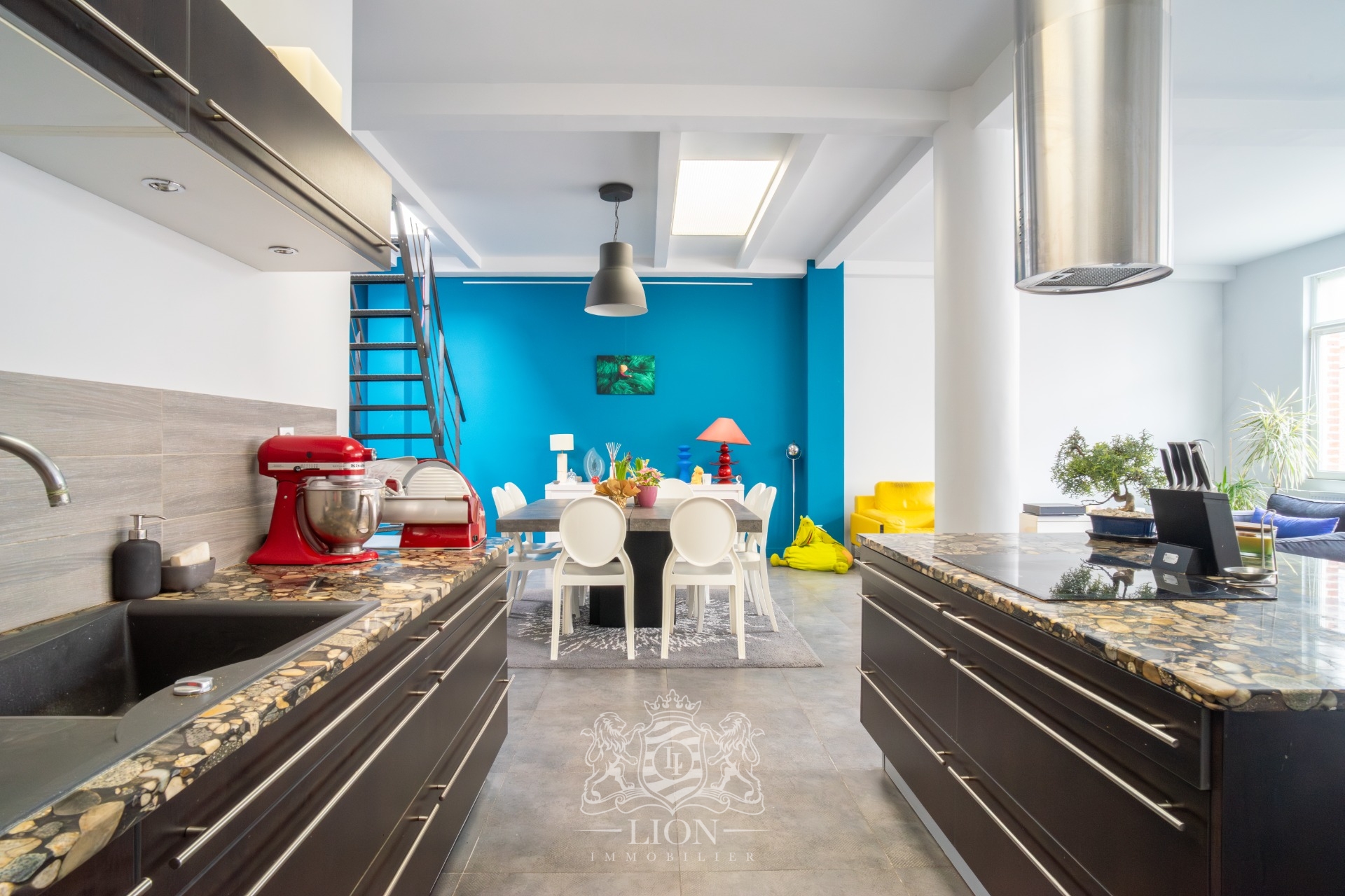 Tres beau loft de plus 200m  avec exterieur et garage Photo 4 - Le Lion Immobilier