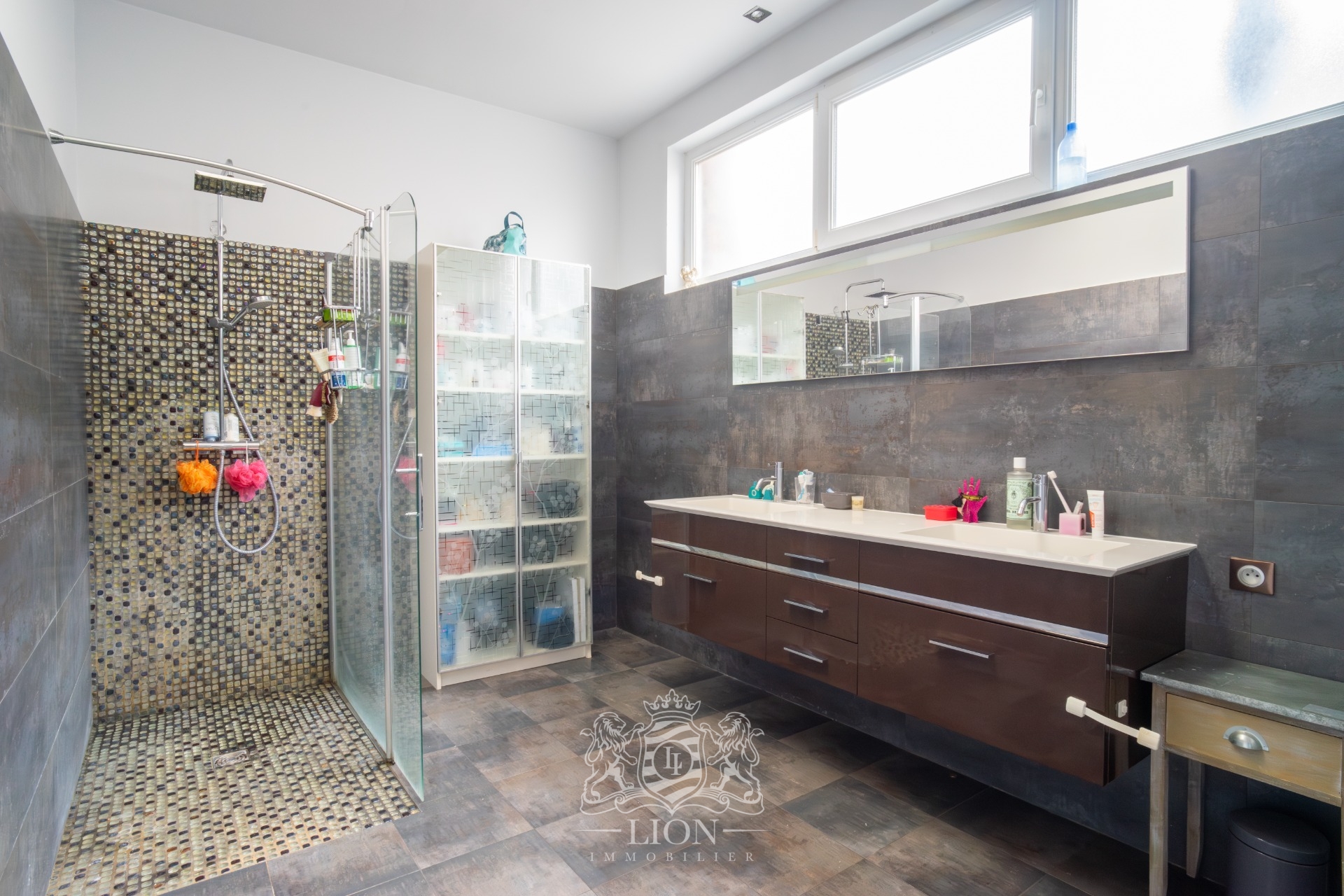 Tres beau loft de plus 200m  avec exterieur et garage Photo 7 - Le Lion Immobilier