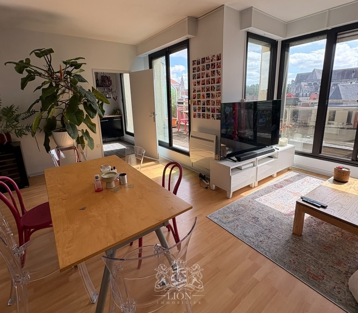 Plx vieux lille appartement 3 pieces avec terrasse Photo 2 - Le Lion Immobilier Plx vieux lille appartement 3 pieces avec terrasse Photo 2 - Le Lion Immobilier