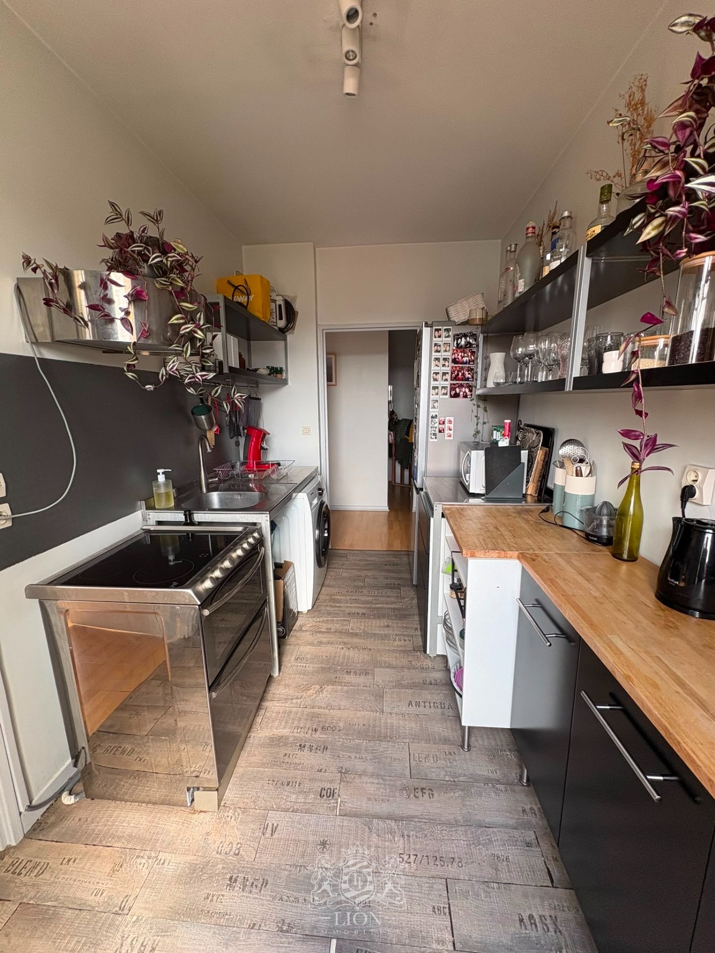 Plx vieux lille appartement 3 pieces avec terrasse Photo 8 - Le Lion Immobilier Plx vieux lille appartement 3 pieces avec terrasse Photo 8 - Le Lion Immobilier