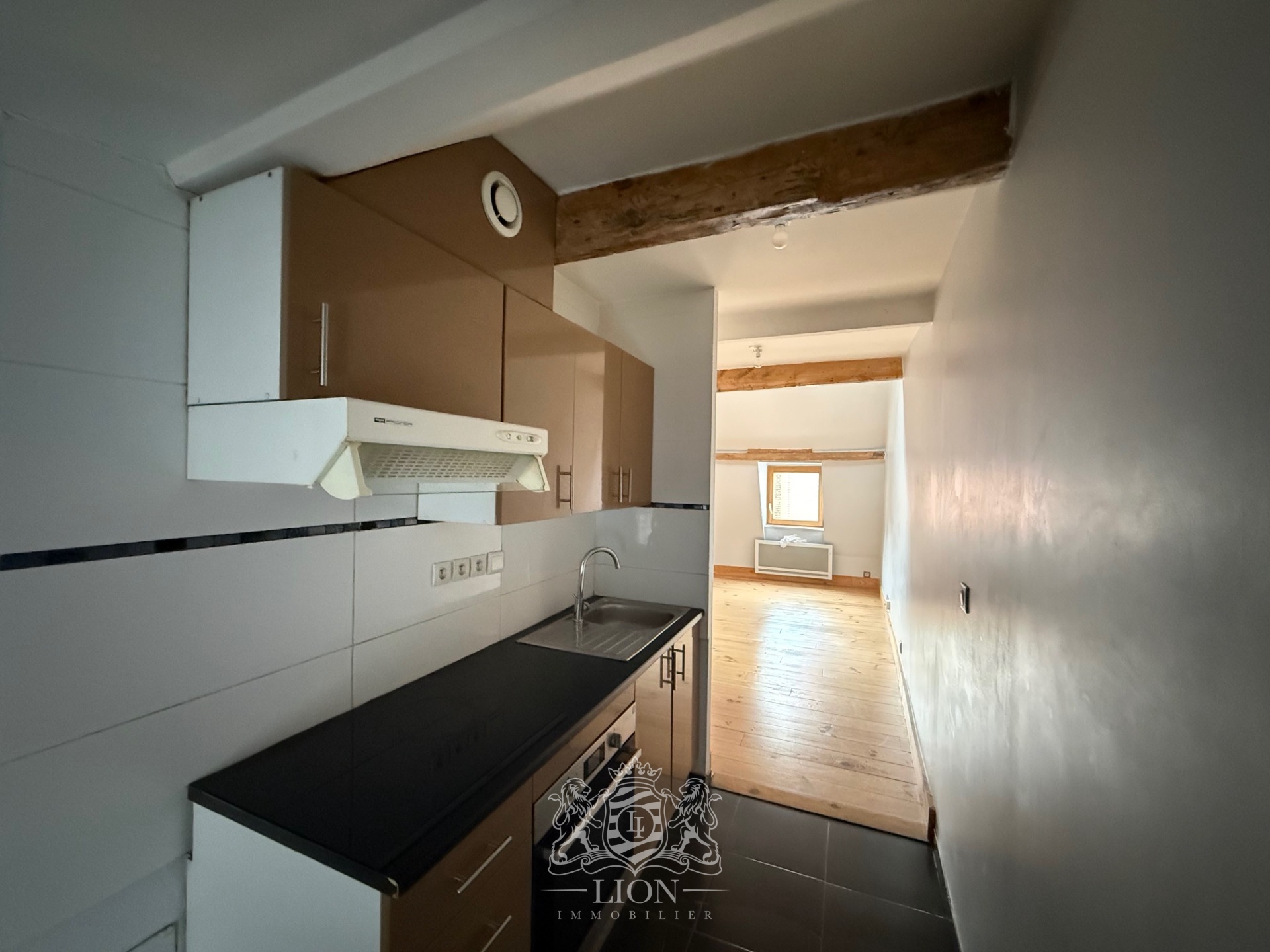 Qpv vieux lille t3 bis en duplex non meuble Photo 9 - Le Lion Immobilier
