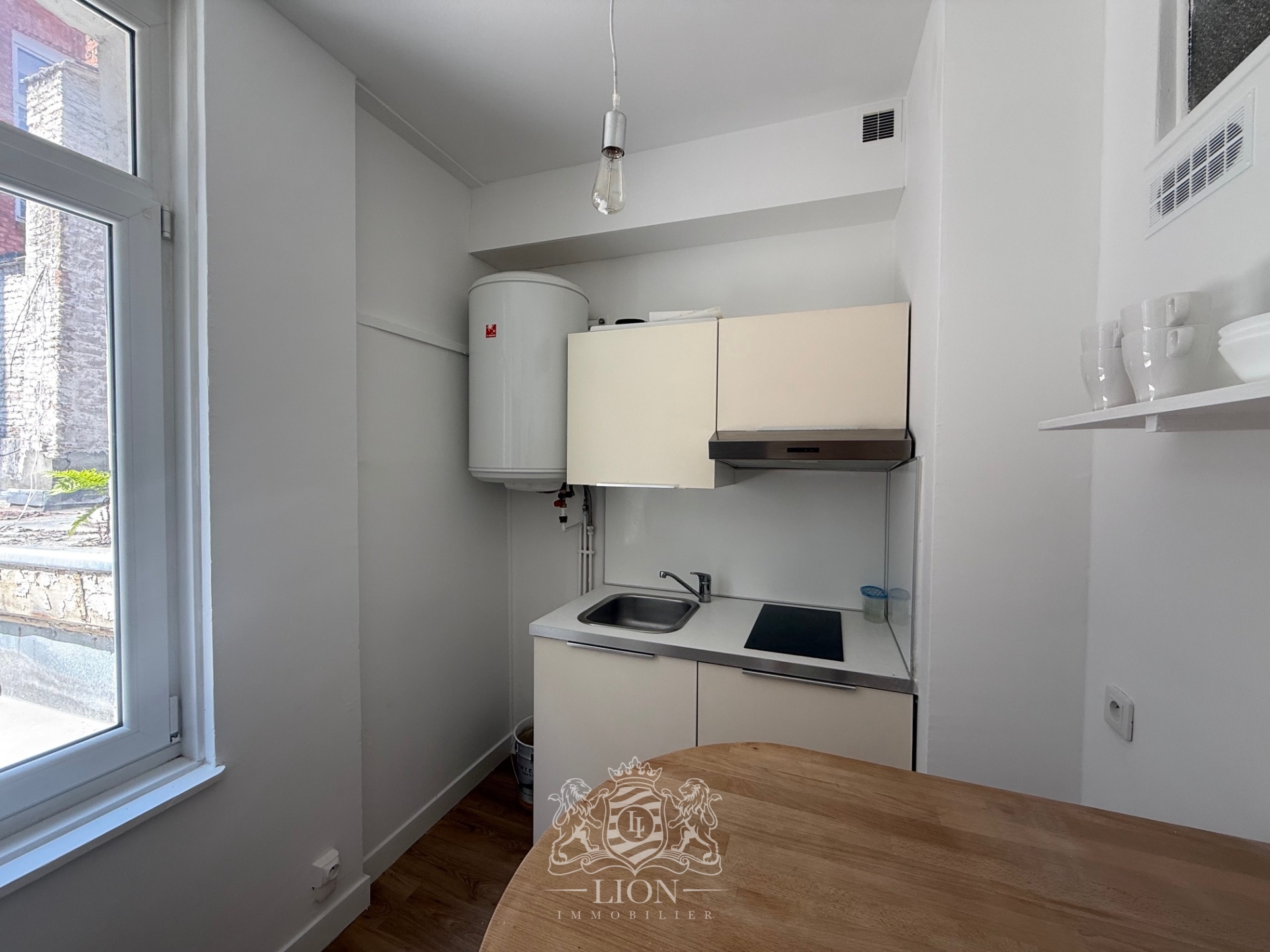 Qrp lille hypercentre studio non meuble Photo 4 - Le Lion Immobilier Qrp lille hypercentre studio non meuble Photo 4 - Le Lion Immobilier