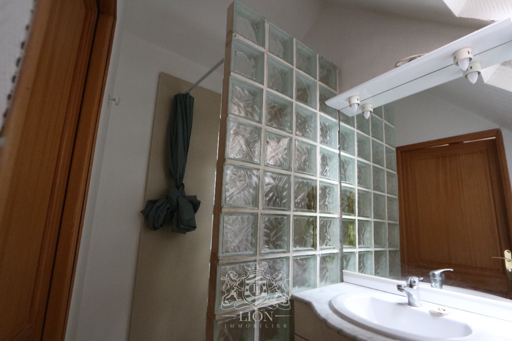Shh vieux lille type 2 non meuble Photo 9 - Le Lion Immobilier