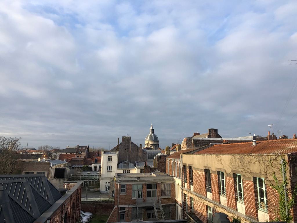Tvk vieux lille t1 bis meuble Photo 5 - Le Lion Immobilier