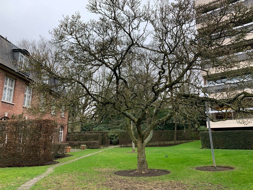 Appartement en residence seniors Photo 1 - Le Lion Immobilier
