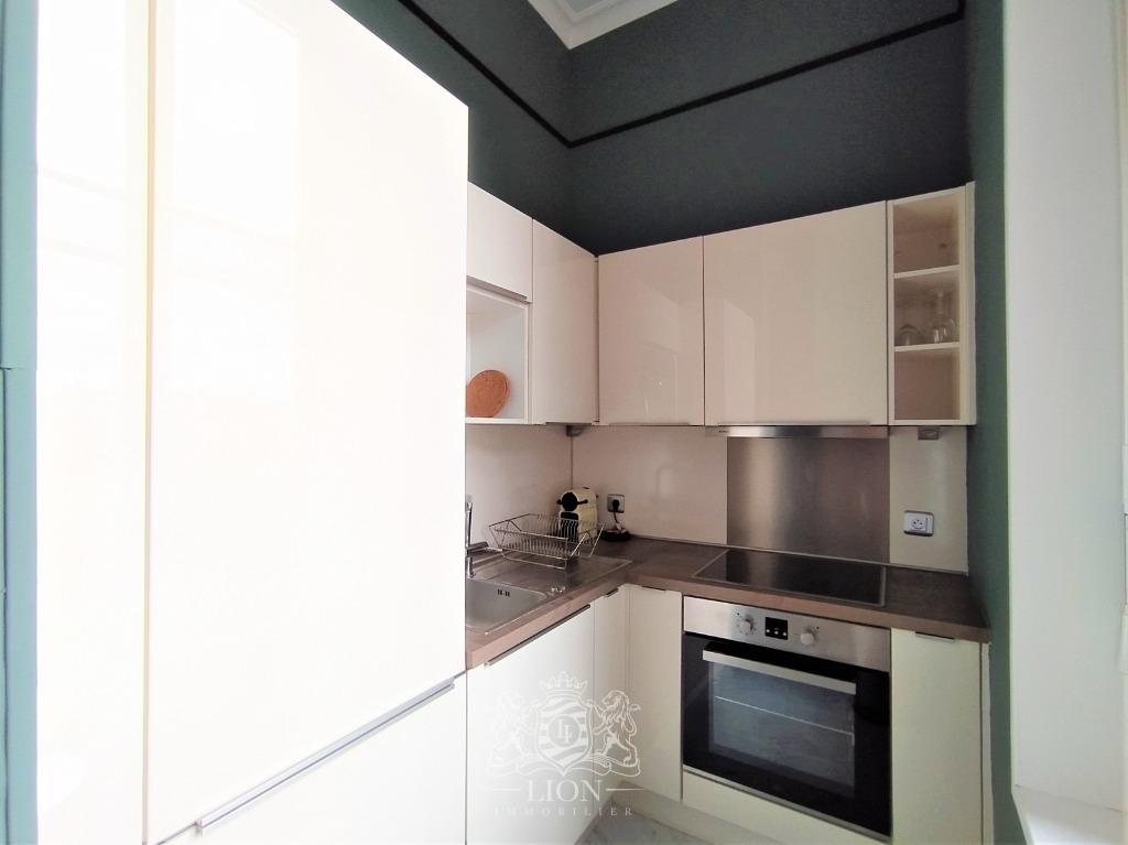 Vmm lille centre magnifique type 1 bis meuble Photo 8 - Le Lion Immobilier
