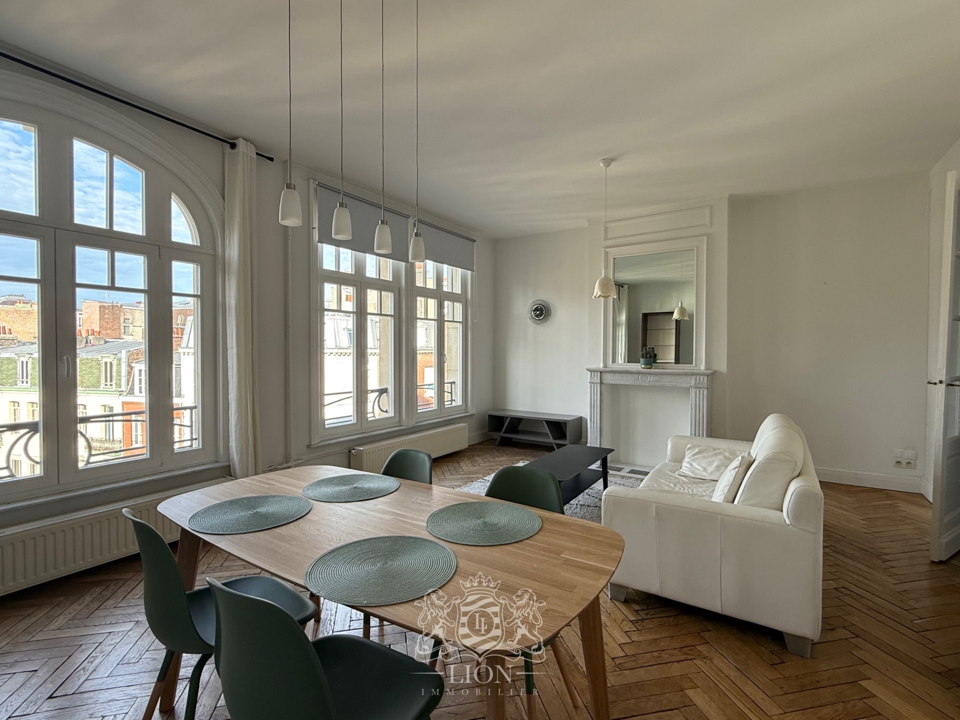 Vsl lille centre appartement t3 meuble 88 m2 Photo 1 - Le Lion Immobilier Vsl lille centre appartement t3 meuble 88 m2 Photo 1 - Le Lion Immobilier