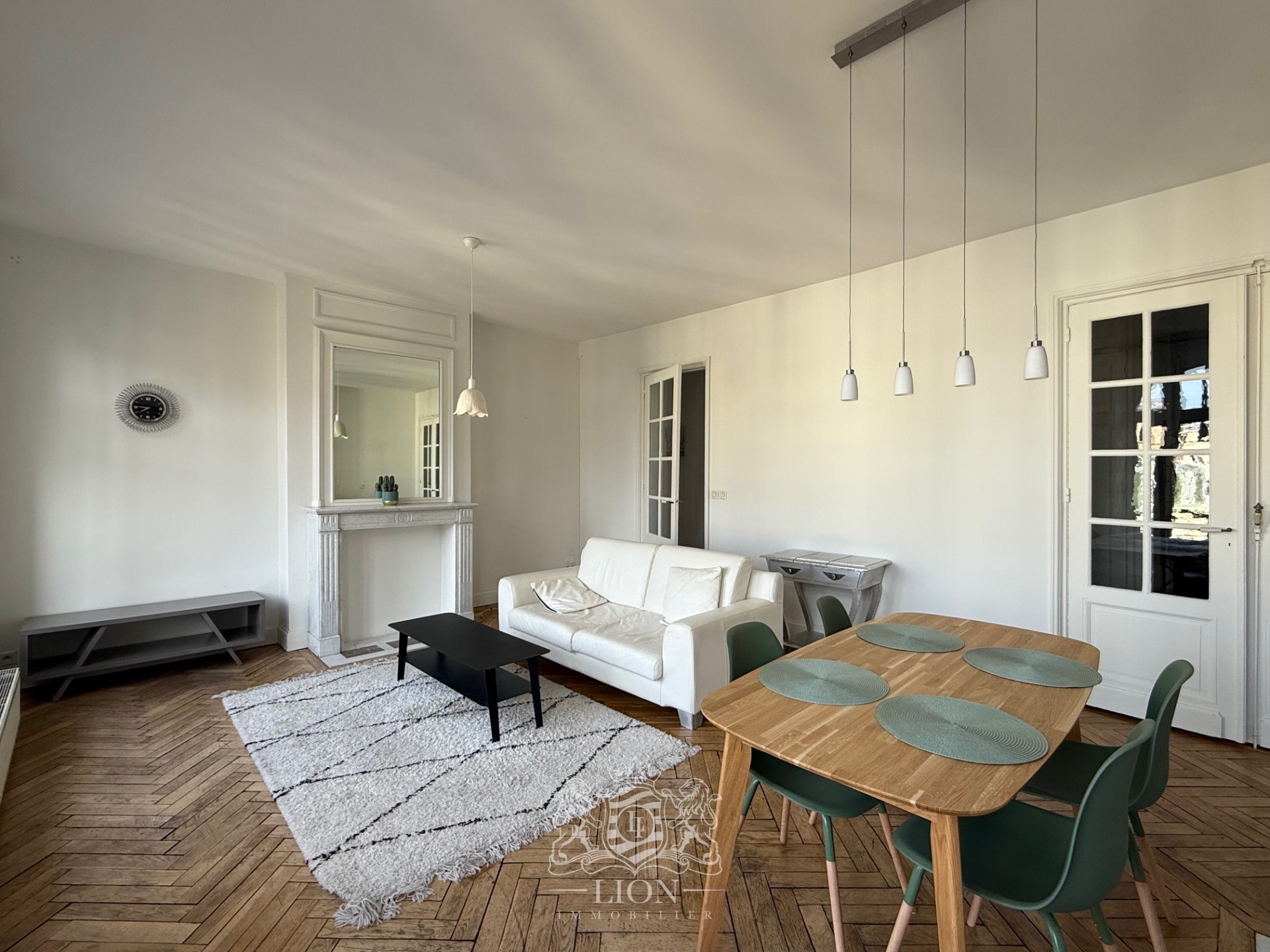 Vsl lille centre appartement t3 meuble 88 m2 Photo 3 - Le Lion Immobilier Vsl lille centre appartement t3 meuble 88 m2 Photo 3 - Le Lion Immobilier