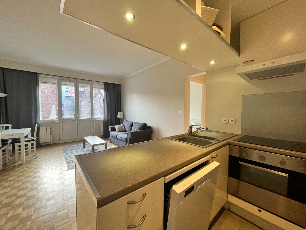 Xng vieux lille appartement t3 meuble avec parking Photo 13 - Le Lion Immobilier