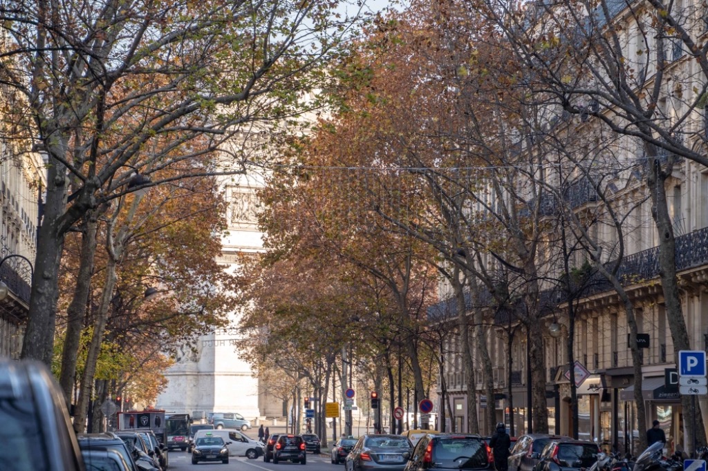 Paris 16 place de l etoile 2 pieces avec patio Photo 8 - Le Lion Immobilier Paris 16 place de l etoile 2 pieces avec patio Photo 8 - Le Lion Immobilier