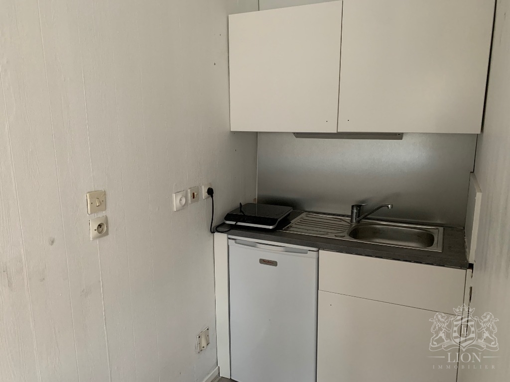 Studio meuble de 24 m  lille vauban Photo 6 - Le Lion Immobilier