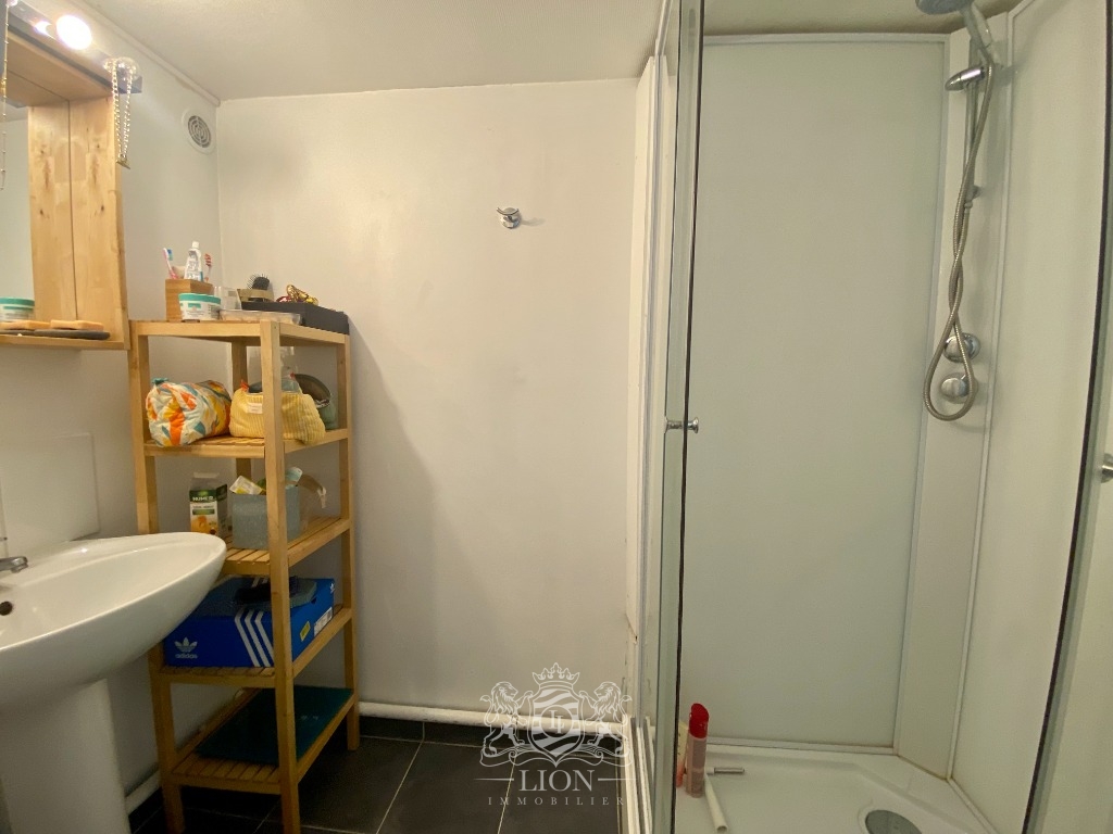 Zct lille centre t2 en duplex avec cour privative Photo 4 - Le Lion Immobilier Zct lille centre t2 en duplex avec cour privative Photo 4 - Le Lion Immobilier