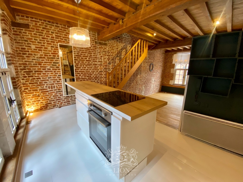 Znd vieux lille appartement t3 bis Photo 3 - Le Lion Immobilier
