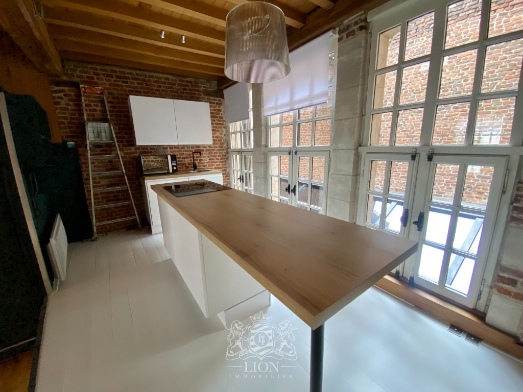 Znd vieux lille appartement t3 bis Photo 5 - Le Lion Immobilier
