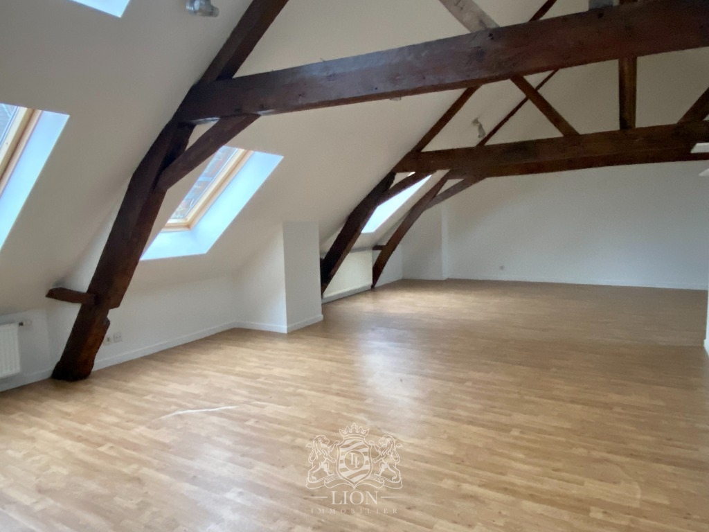 Zyf vieux lille appartement type 3 Photo 3 - Le Lion Immobilier